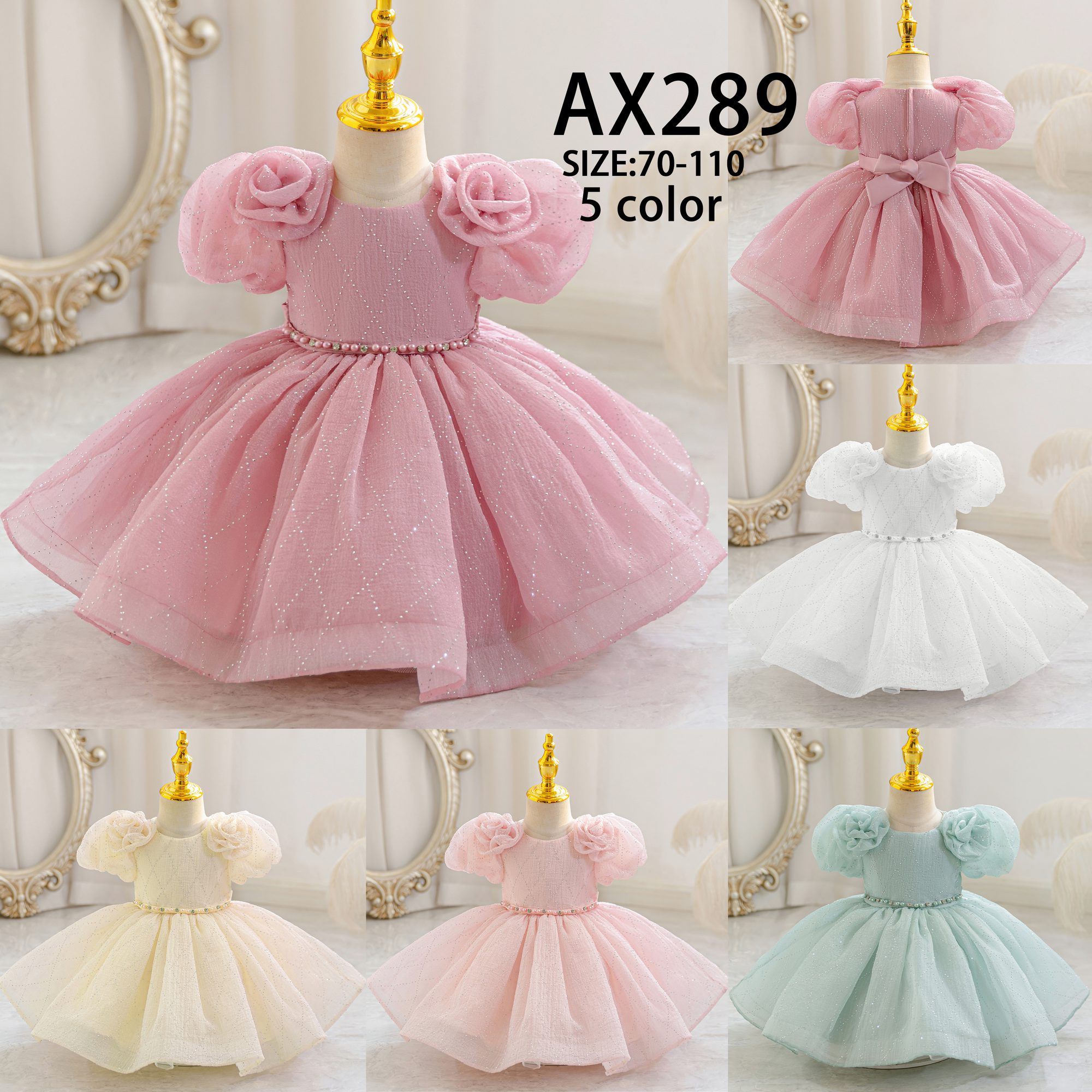 AX289