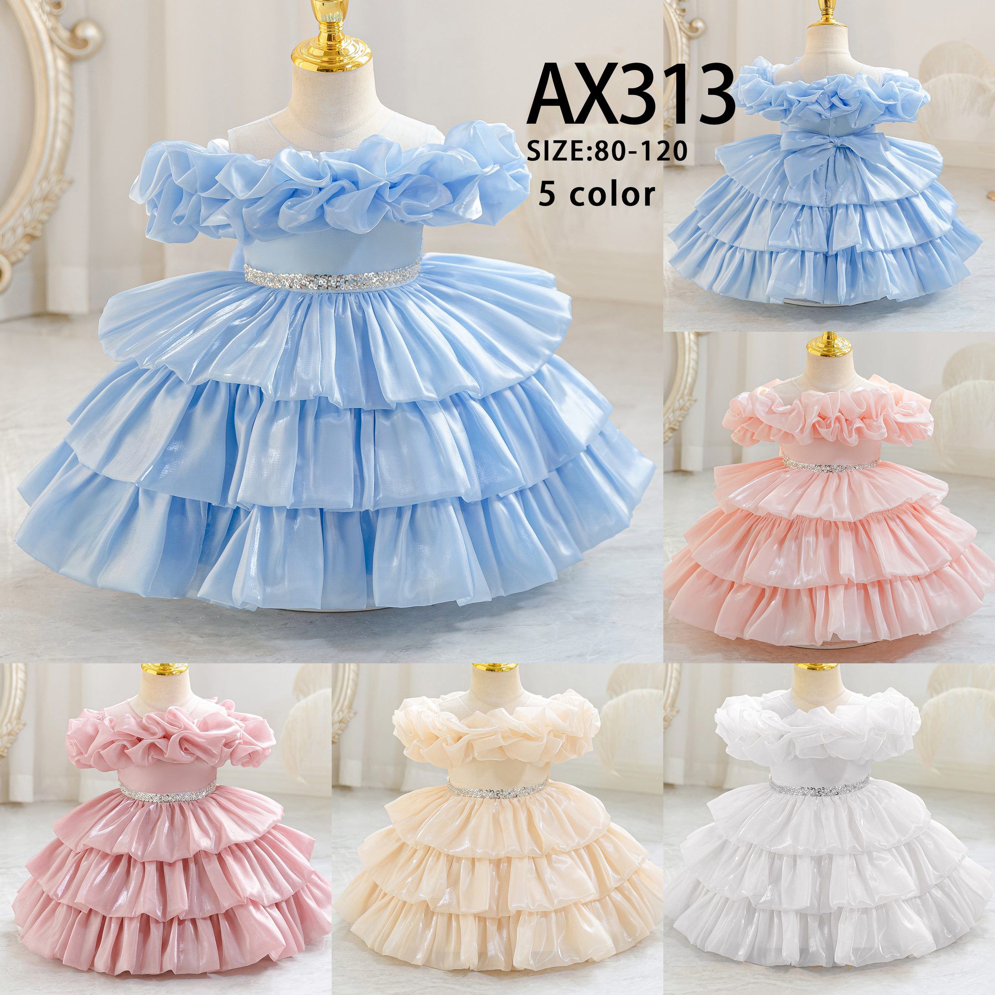 AX313